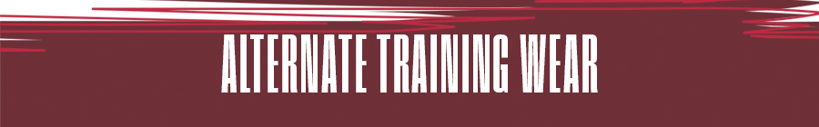 2023 Alternate Training