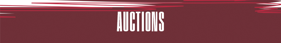 Auction Items