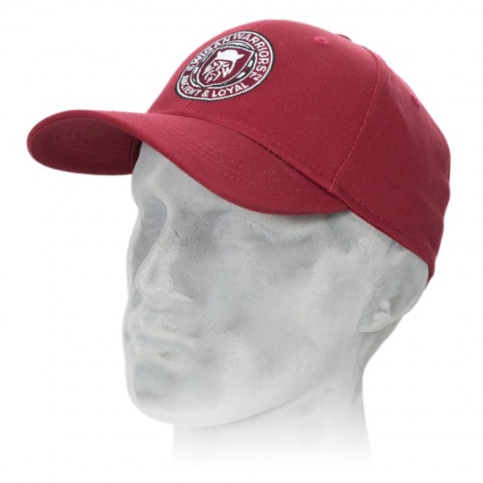 WARRIORS 2023 CHERRY CAP