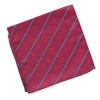 LADIES NECK SCARF