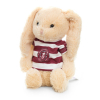 WARRIORS BUNNY