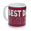 WARRIORS BEST DAD IN THE WORLD MUG