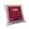 TIAKI CHAN FADED CUSHION