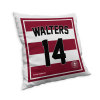 SAM WALTERS STRIPED CUSHION