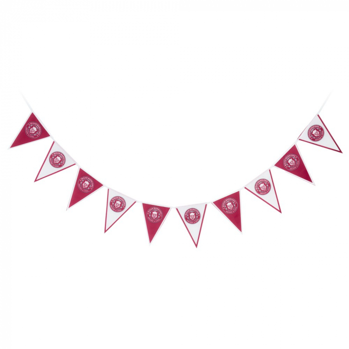 WARRIORS BUNTING