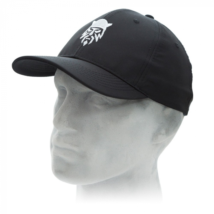 WARRIORS ICON CAP