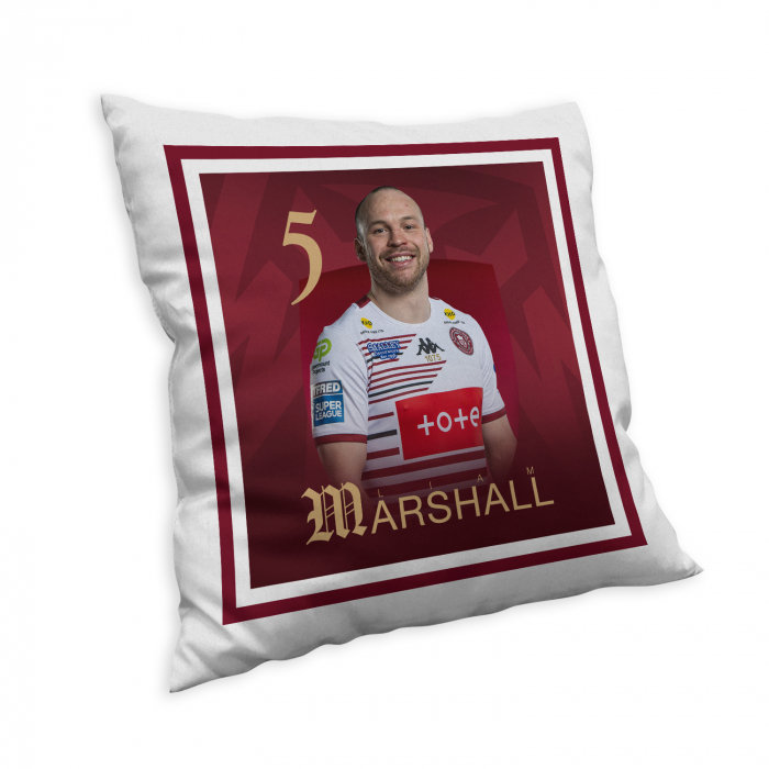 LIAM MARSHALL HEADSHOT CUSHION